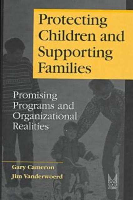 Protecting Children and Supporting Families : Promising Programs and Organizational Realities, Hardback Book