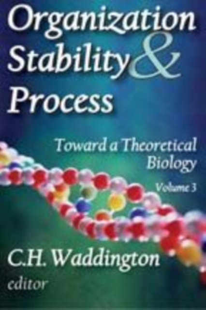 Organization Stability and Process : Volume 3, Paperback / softback Book