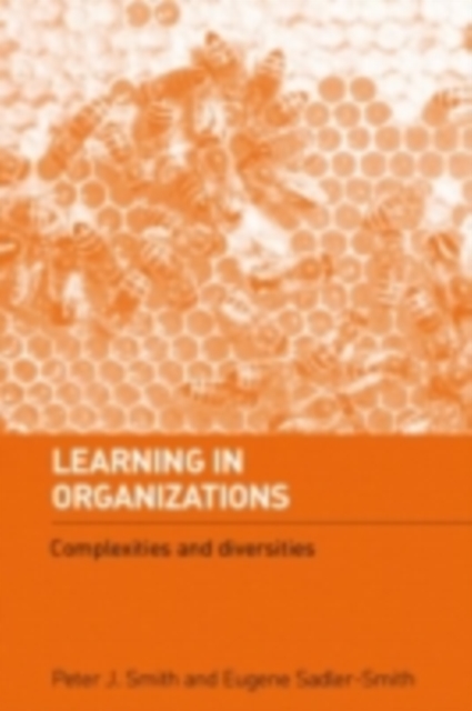 Learning in Organizations : Complexities and Diversities, PDF eBook