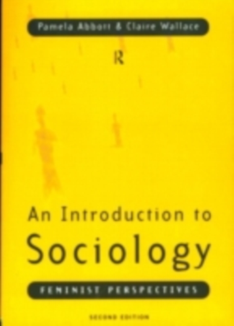 An Introduction to Sociology : Feminist Perspectives, PDF eBook