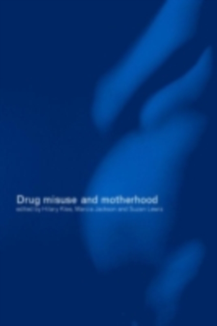 Drug Misuse and Motherhood, PDF eBook