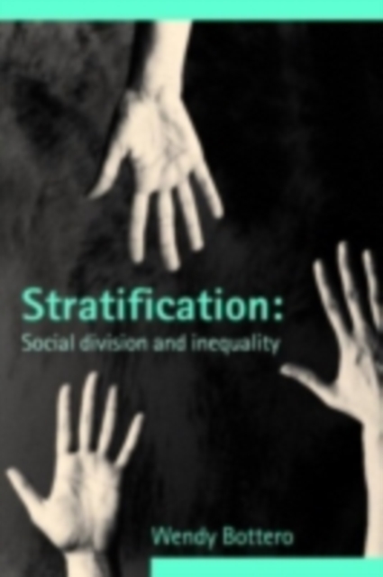 Stratification : Social Division and Inequality, PDF eBook