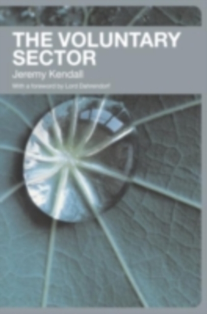 The Voluntary Sector : Comparative Perspectives in the UK, PDF eBook