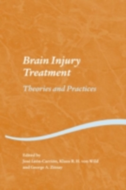 Brain Injury Treatment : Theories and Practices, PDF eBook