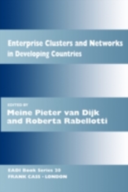 Enterprise Clusters and Networks in Developing Countries, PDF eBook