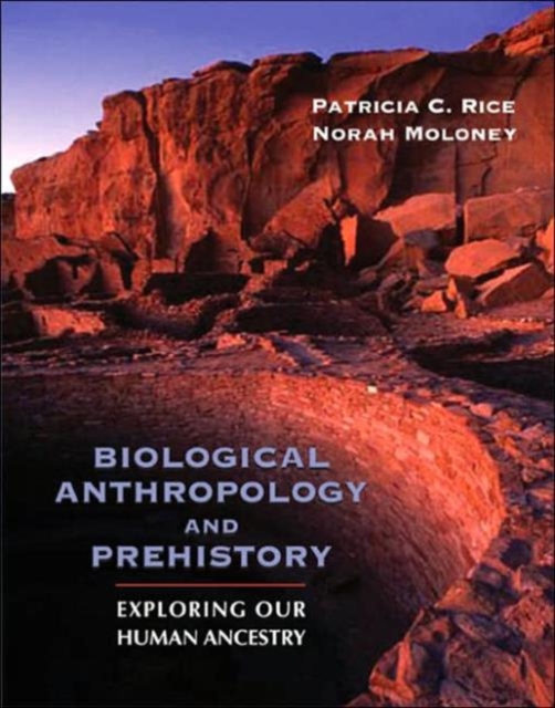 Biological Anthropology and Prehistory : Exploring Our Human Ancestry, Paperback Book