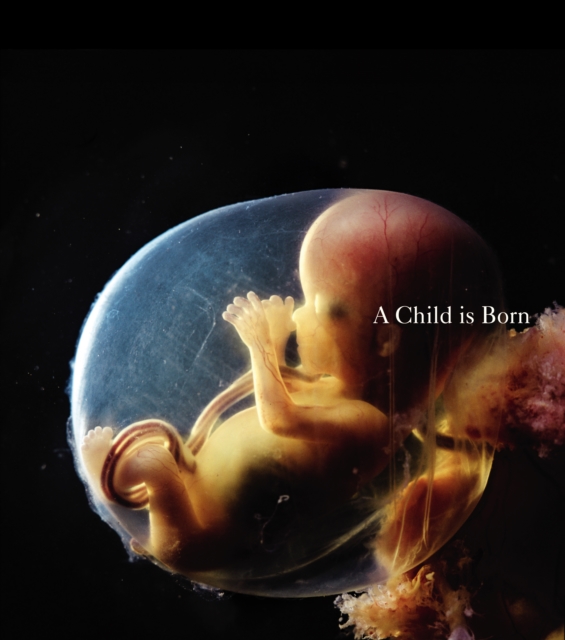 A Child is Born, Hardback Book
