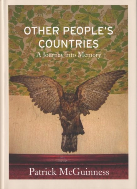Other People's Countries : A Journey into Memory, Hardback Book