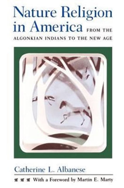 Nature Religion in America : From the Algonkian Indians to the New Age, Paperback / softback Book