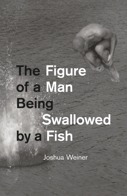 The Figure of a Man Being Swallowed by a Fish, Paperback / softback Book