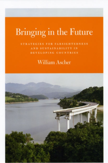 Bringing in the Future : Strategies for Farsightedness and Sustainability in Developing Countries, Paperback / softback Book