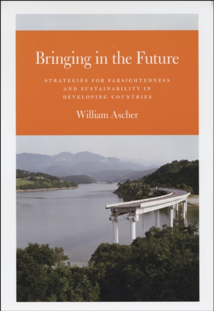 Bringing in the Future : Strategies for Farsightedness and Sustainability in Developing Countries, PDF eBook