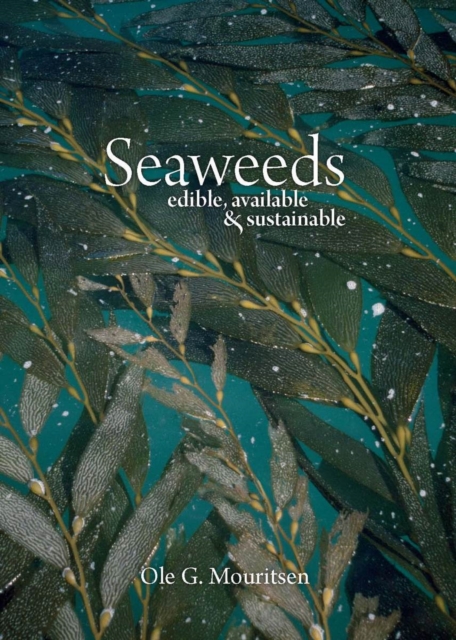 Seaweeds : Edible, Available, and Sustainable, PDF eBook