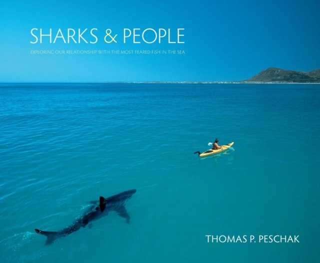 Sharks and People : Exploring Our Relationship with the Most Feared Fish in the Sea, Hardback Book
