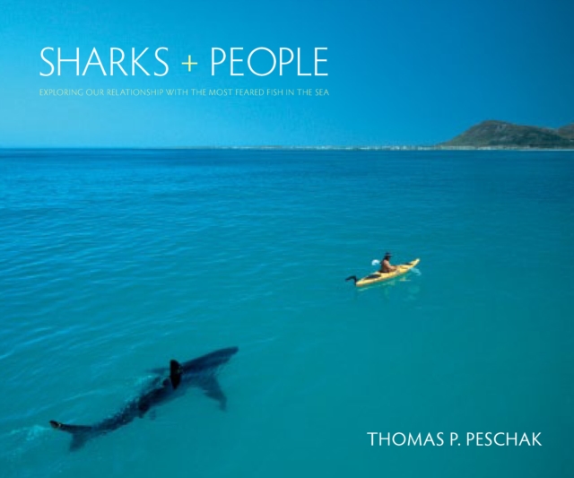 Sharks and People : Exploring Our Relationship with the Most Feared Fish in the Sea, PDF eBook