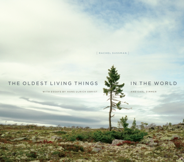The Oldest Living Things in the World, PDF eBook