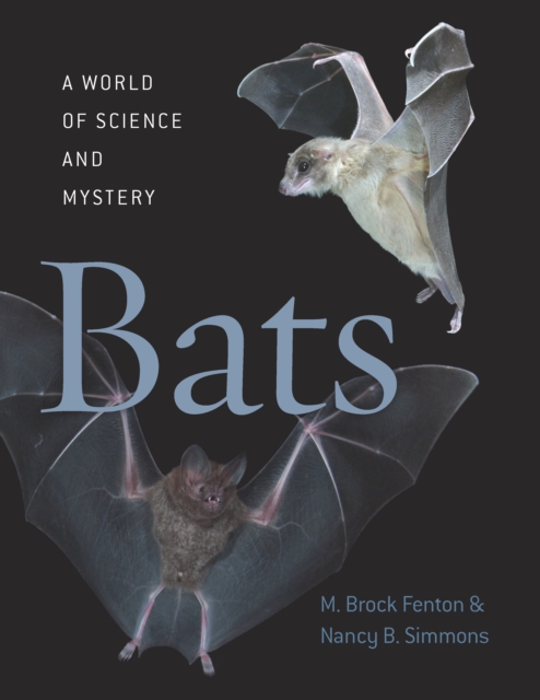 Bats : A World of Science and Mystery, PDF eBook