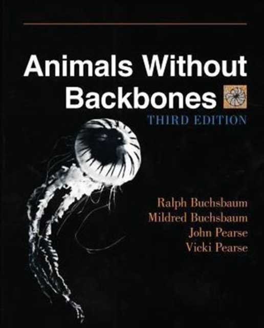 Animals Without Backbones : An Introduction to the Invertebrates, Paperback / softback Book