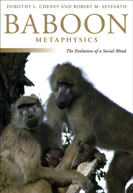 Baboon Metaphysics : The Evolution of a Social Mind, PDF eBook