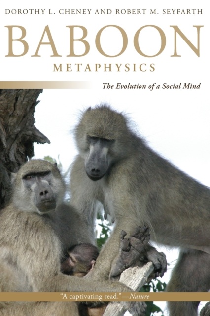Baboon Metaphysics : The Evolution of a Social Mind, Paperback / softback Book