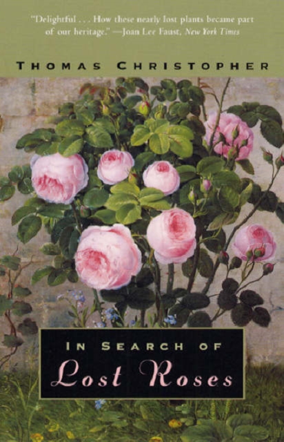 In Search of Lost Roses, Paperback / softback Book