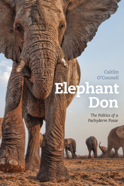 Elephant Don : The Politics of a Pachyderm Posse, Hardback Book