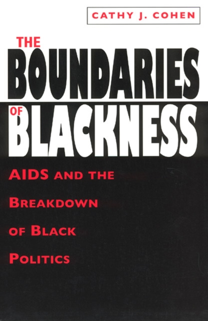 The Boundaries of Blackness - AIDS and the Breakdown of Black Politics, Paperback / softback Book