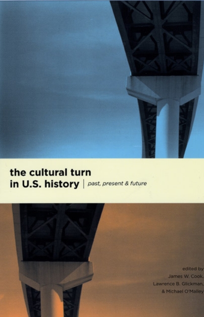 The Cultural Turn in U. S. History : Past, Present, and Future, Paperback / softback Book