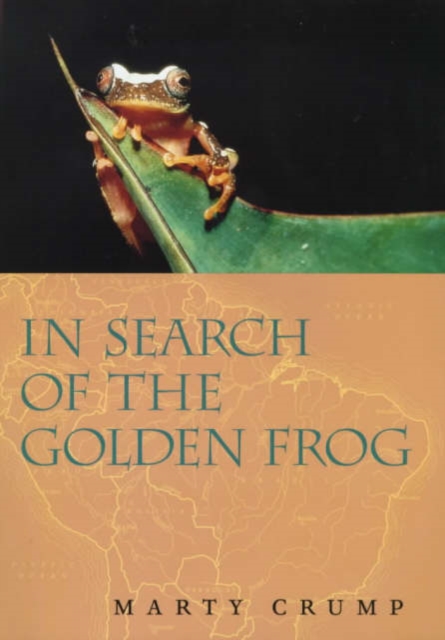 In Search of the Golden Frog, Hardback Book