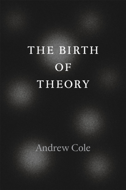 The Birth of Theory, Hardback Book