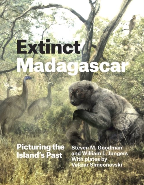 Extinct Madagascar : Picturing the Island's Past, Hardback Book