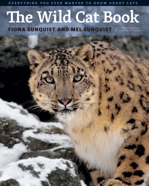 The Wild Cat Book : Everything You Ever Wanted to Know about Cats, PDF eBook