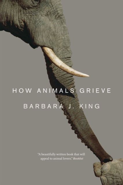 How Animals Grieve, Paperback / softback Book