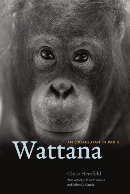 Wattana, Hardback Book