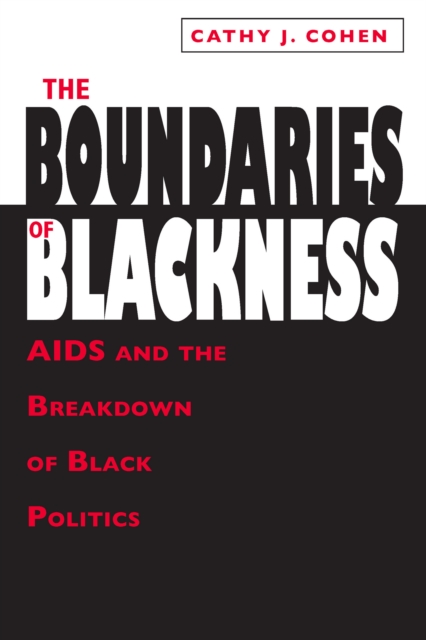 The Boundaries of Blackness : AIDS and the Breakdown of Black Politics, PDF eBook
