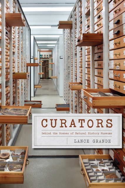 Curators - Behind the Scenes of Natural History Museums, Paperback / softback Book