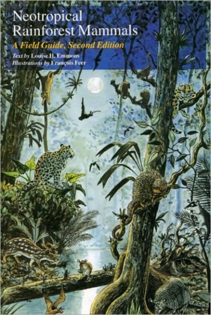 Neotropical Rainforest Mammals : A Field Guide, Paperback / softback Book