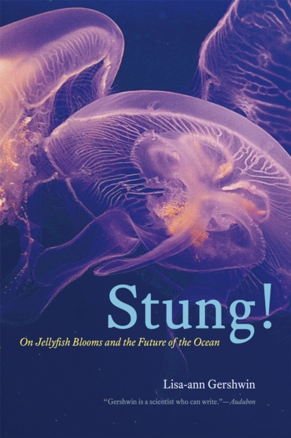 Stung! : On Jellyfish Blooms and the Future of the Ocean, Paperback / softback Book