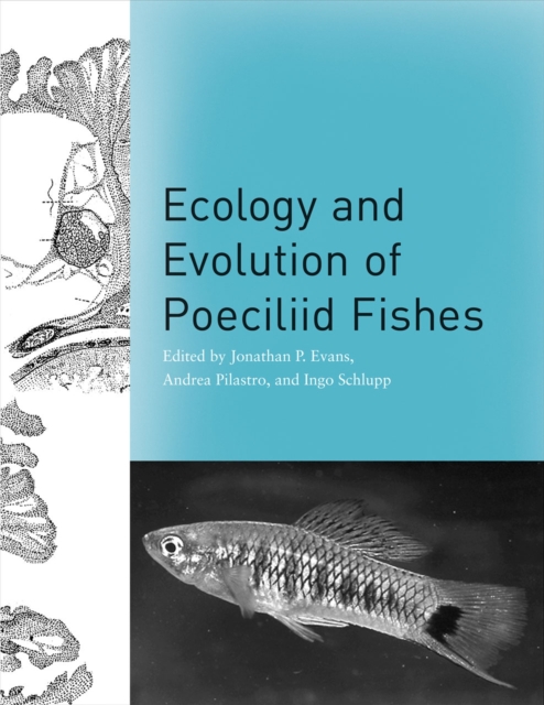 Ecology and Evolution of Poeciliid Fishes, Hardback Book