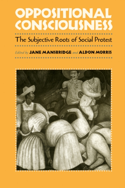 Oppositional Consciousness : The Subjective Roots of Social Protest, PDF eBook