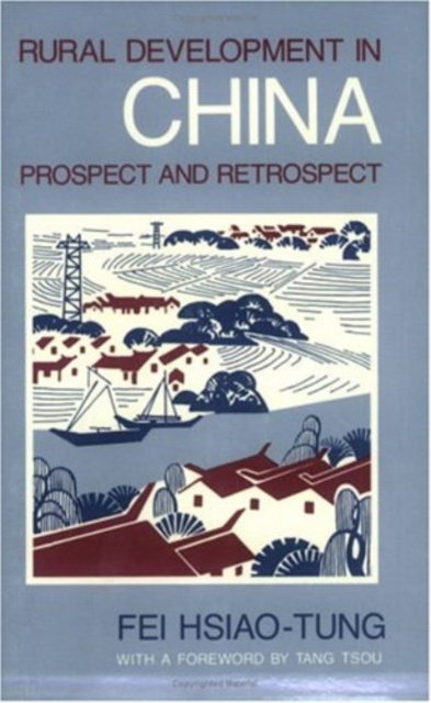 Rural Development in China : Prospect and Retrospect, Paperback / softback Book