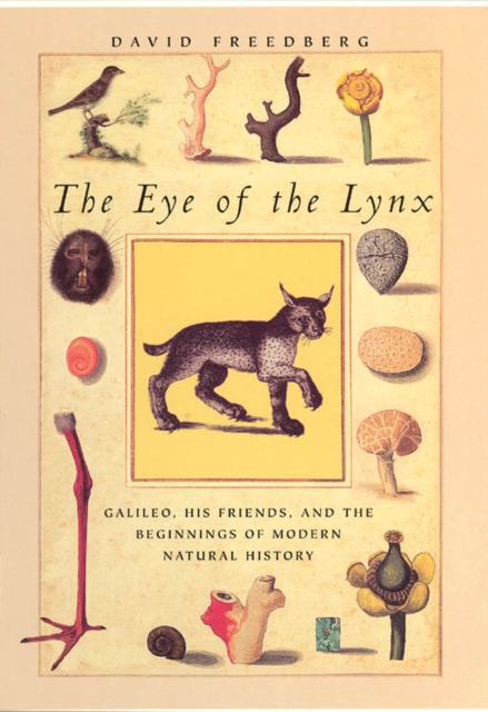 The Eye of the Lynx : Galileo, His Friends, and the Beginnings of Modern Natural History, Paperback / softback Book