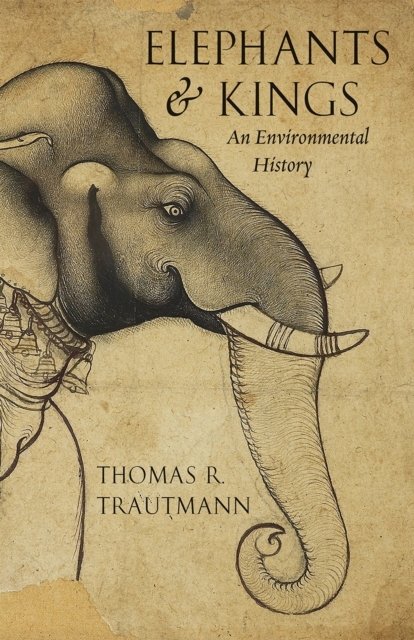 Elephants and Kings : An Environmental History, Paperback / softback Book
