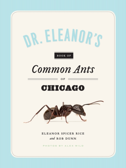Dr. Eleanor's Book of Common Ants of Chicago, Paperback / softback Book