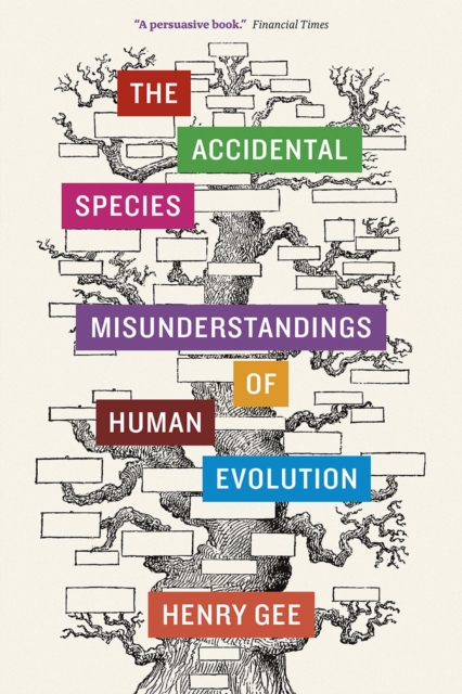 The Accidental Species : Misunderstandings of Human Evolution, Paperback / softback Book