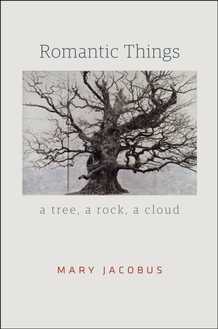 Romantic Things : A Tree, a Rock, a Cloud, Paperback / softback Book