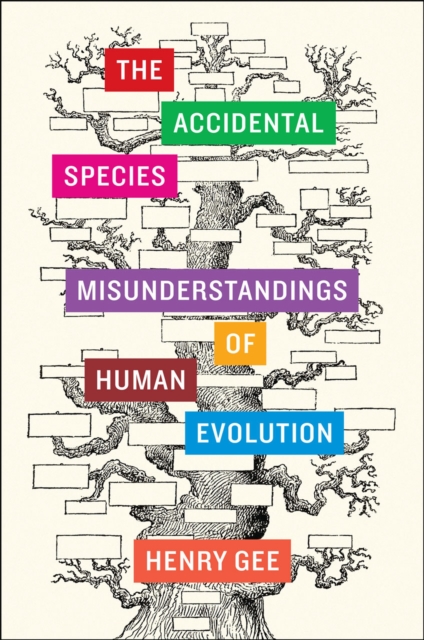 The Accidental Species : Misunderstandings of Human Evolution, Hardback Book