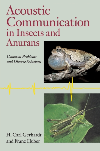 Acoustic Communication in Insects and Anurans : Common Problems and Diverse Solutions, Paperback / softback Book