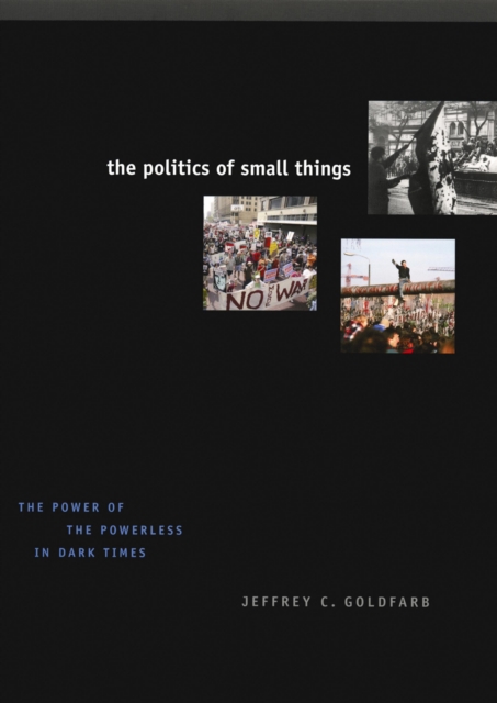 The Politics of Small Things : The Power of the Powerless in Dark Times, PDF eBook