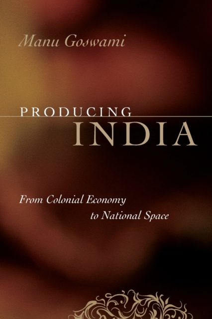 Producing India : From Colonial Economy to National Space, Paperback / softback Book